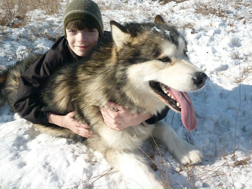 Влас Демиденко | Севастополь