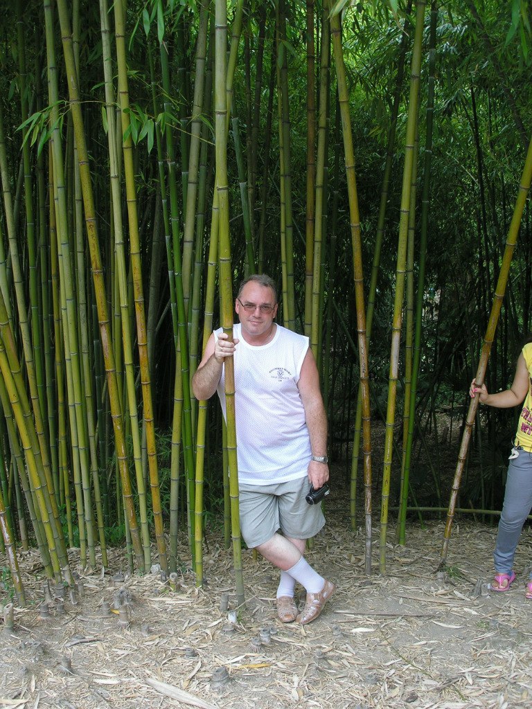 Александр Букнис | Гатчина