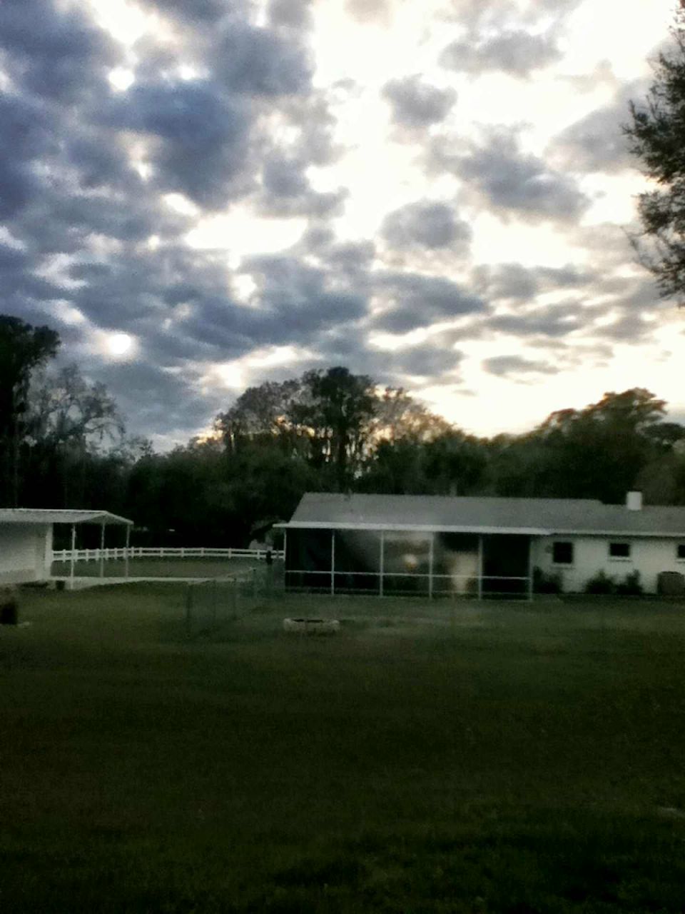 Farsi Khamitov | Lakeland