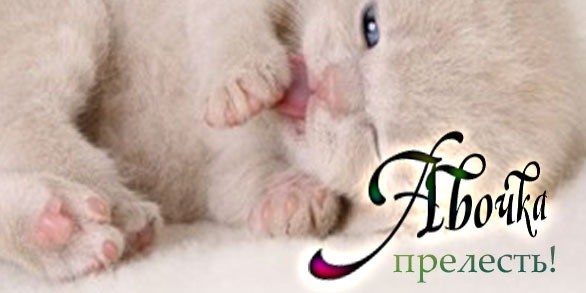 Аллочка Никипорец | Москва