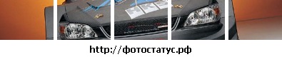 №100, Александр Сизов, 33 года, Ставрополь №100, Александр Сизов, 33 года, Ставрополь