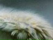 Павел Антонов | Челябинск