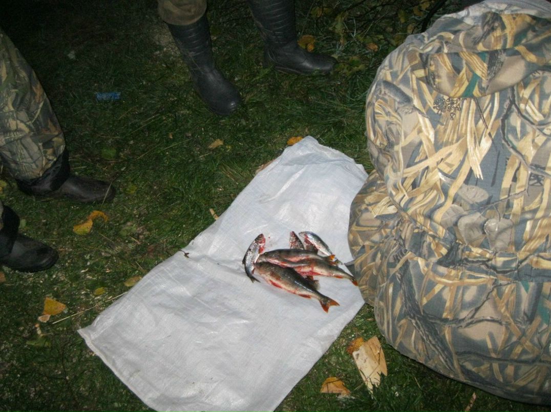 Сергей Попретинский | Буй