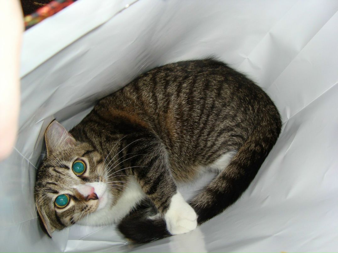 Владимир Протасов | Санкт-Петербург