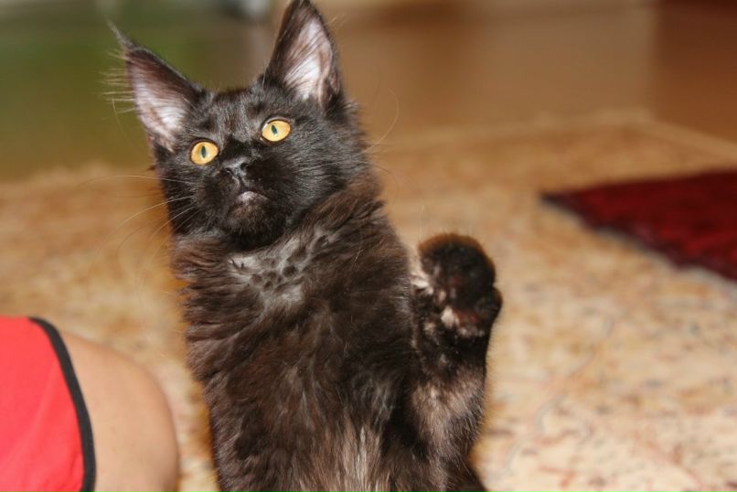 Вера Доронина | Сыктывкар