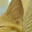 №68, Александр Нетипанов, 46 лет, Санкт-Петербург №68, Александр Нетипанов, 46 лет, Санкт-Петербург