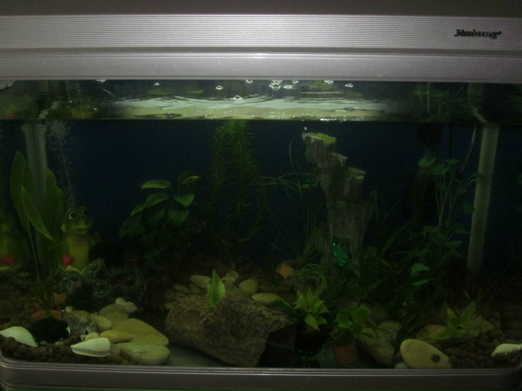 Евгения Адамсон ^Hi-chan^ | Москва