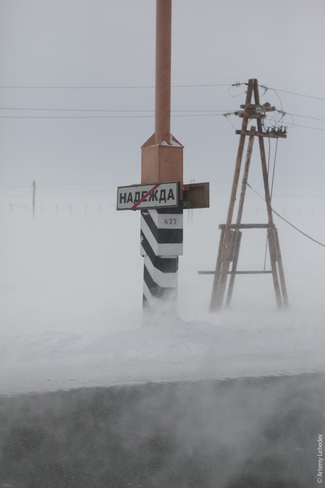 Надежда Целик | Москва