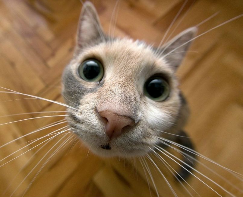 Elena Yarmolucc | Мурманск