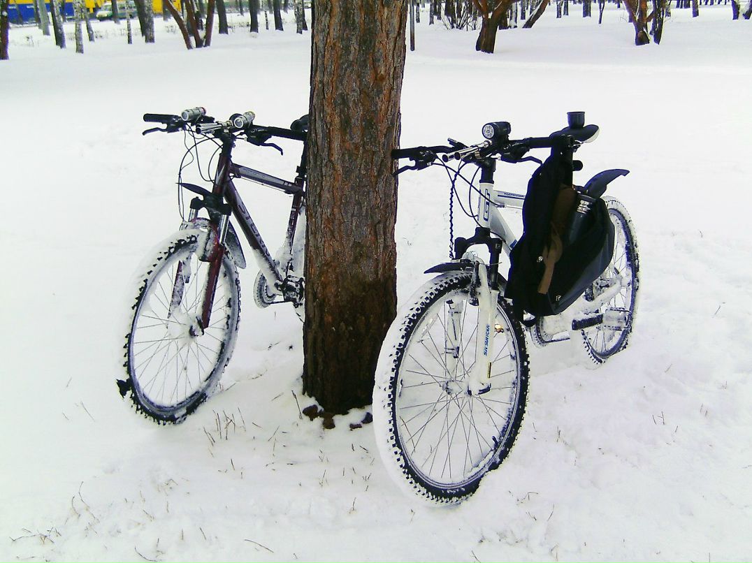 Дмитрий Гриценко | Новосибирск