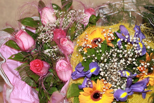 №35, Софья Кондрат, Санкт-Петербург №35, Софья Кондрат, Санкт-Петербург