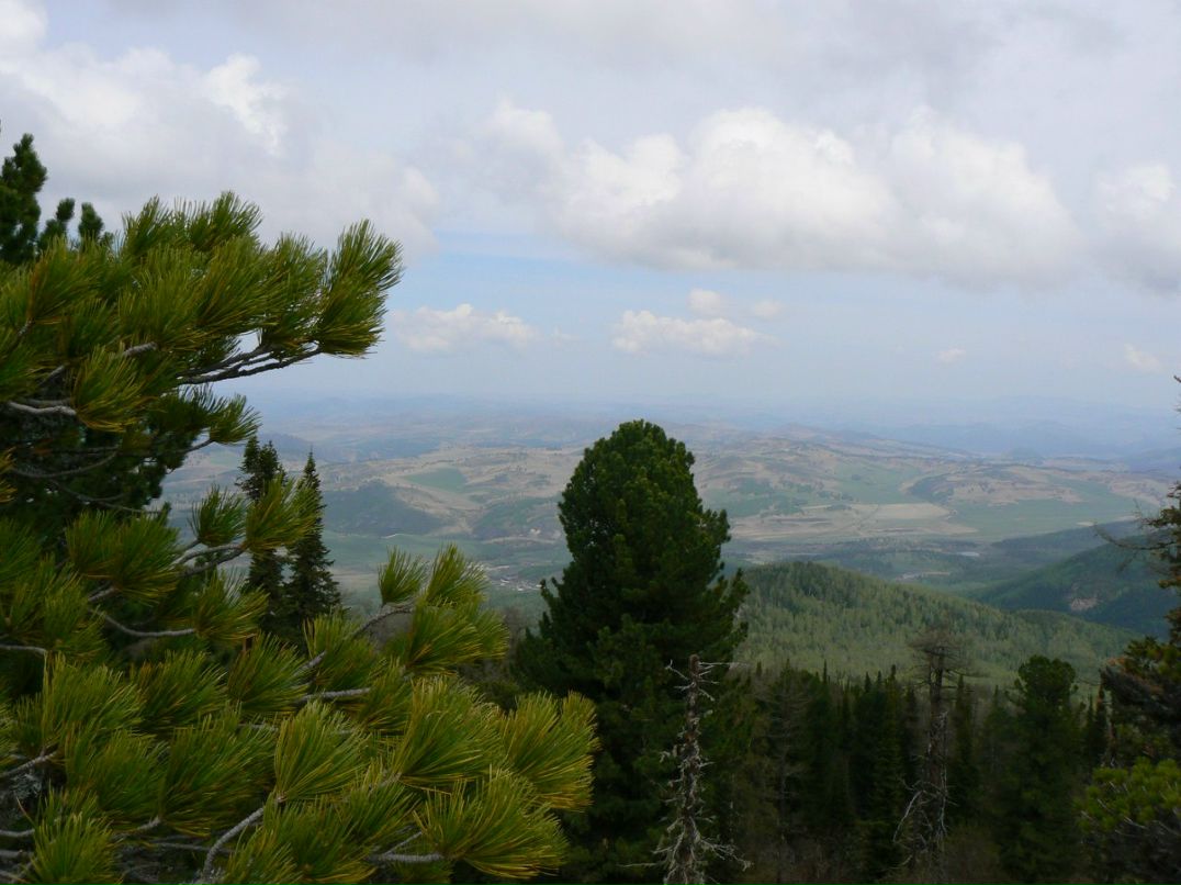 Вячеслав Рощин | 