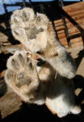 Лена Севастянюк | Екатеринбург