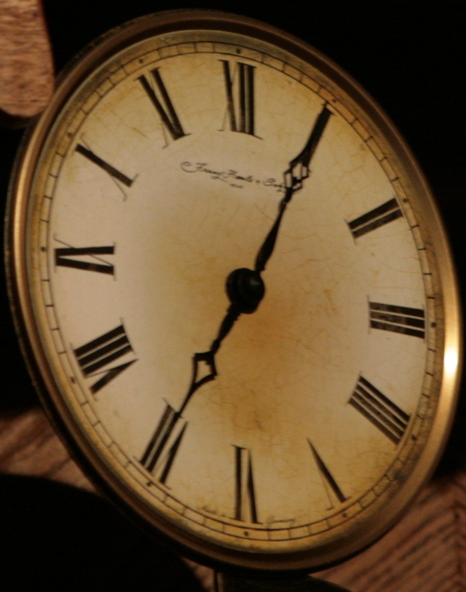 Лунный Лис | Калининград