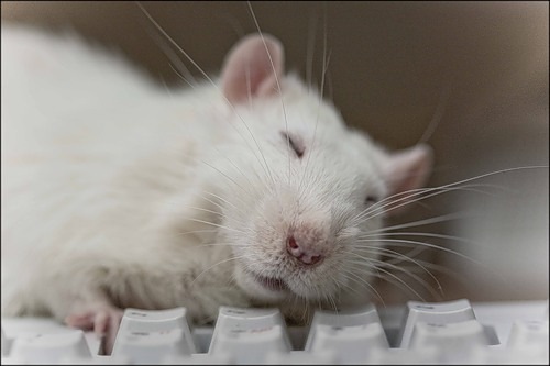 №54, Наталия Иванова, Санкт-Петербург №54, Наталия Иванова, Санкт-Петербург