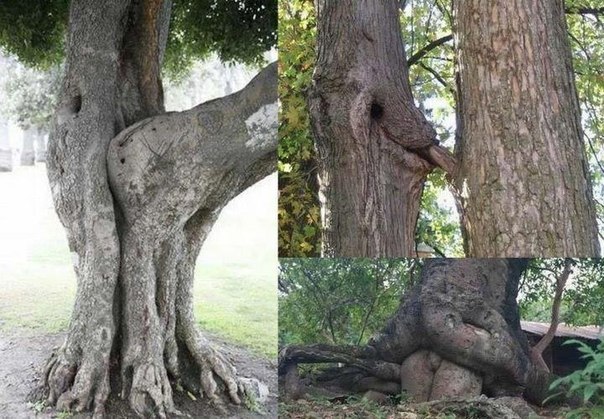 Роман Бочаров | Киев