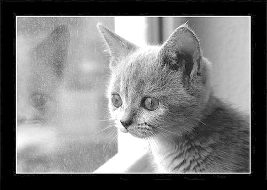 №172, Марина Ильницкая №172, Марина Ильницкая