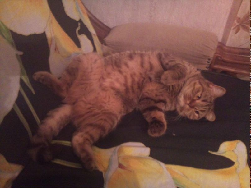 Наталия Малютина | Москва