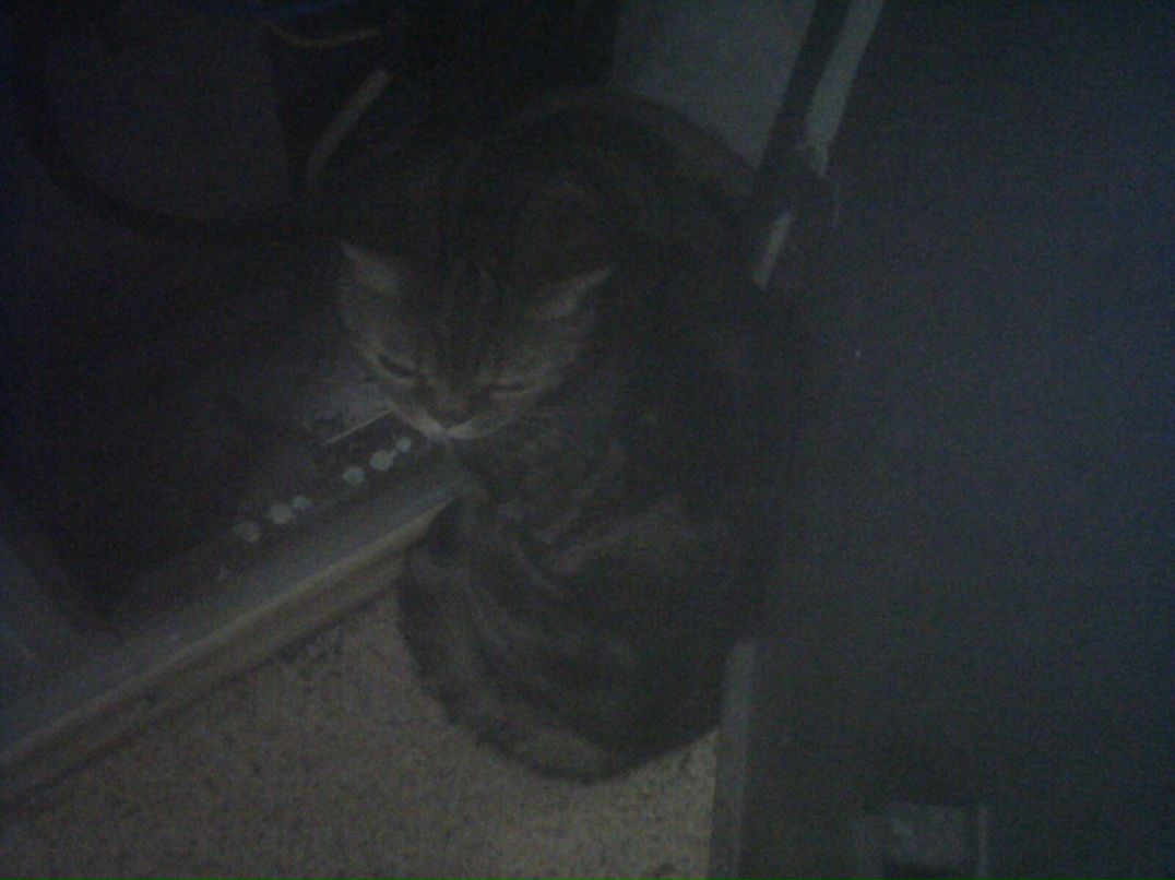 Olimjon Abdunazarov oabdunazarov | Москва