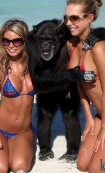 Анатолий Ковалёв | Армавир