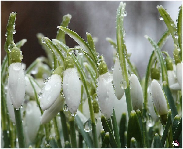 Полина Тихоновская | Москва