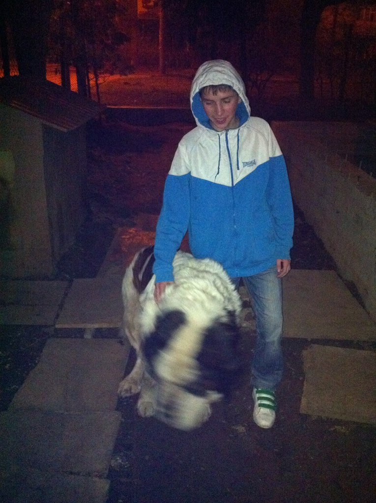 Ваня Ниский Горобчик | Львов