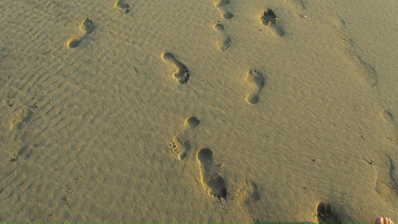 Екатерина Бричкина | Москва