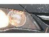 Илья Сушков | Новосибирск