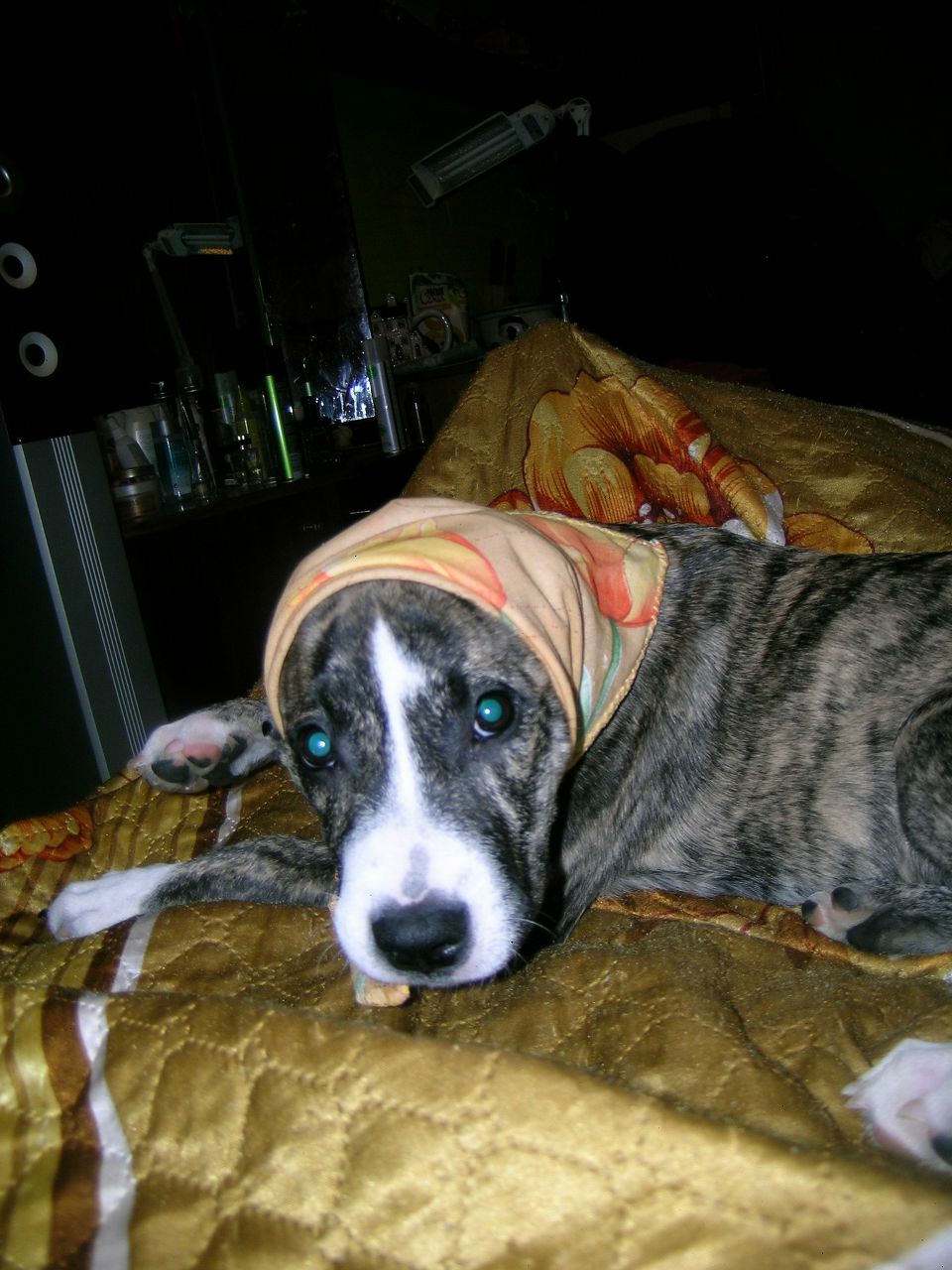 Екатерина Варламова | Череповец