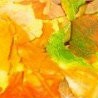 №72, Наталья Аджигитова, 58 лет, Астана №72, Наталья Аджигитова, 58 лет, Астана