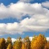 №73, Наталья Аджигитова, 58 лет, Астана №73, Наталья Аджигитова, 58 лет, Астана
