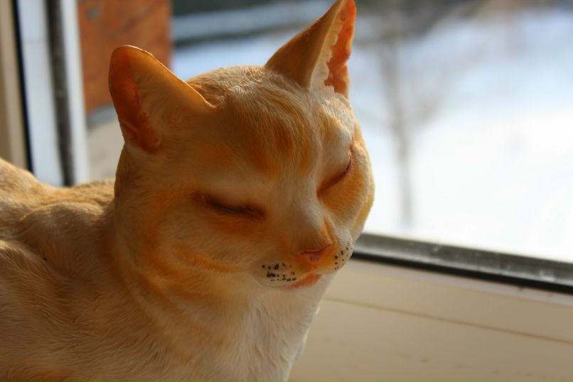 Арина Дубкова | Москва