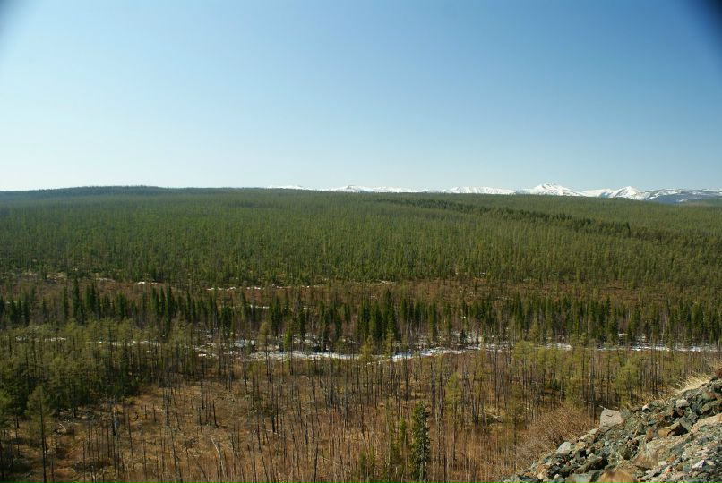 Иван Босниец | 