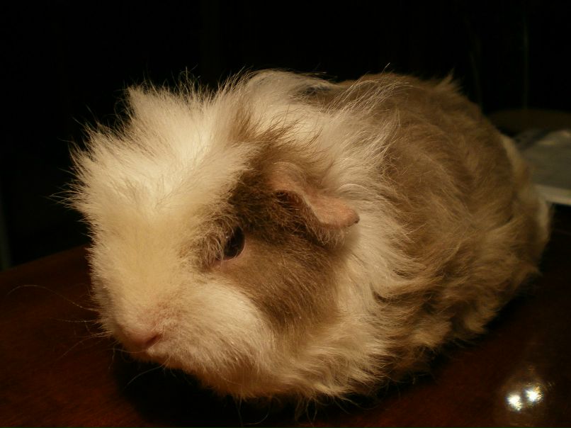 Алина Громова | Москва