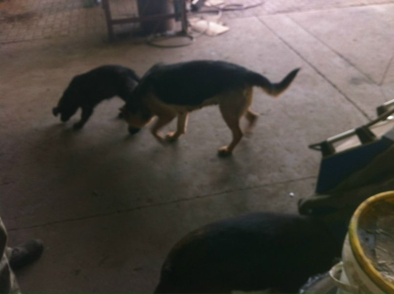 Данил Соломатов | Herzliya