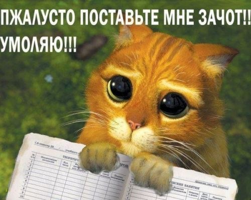 №82, Мария Латышева, 11.7 №82, Мария Латышева, 11.7