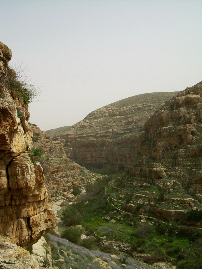 Валентина Вася | Иерусалим