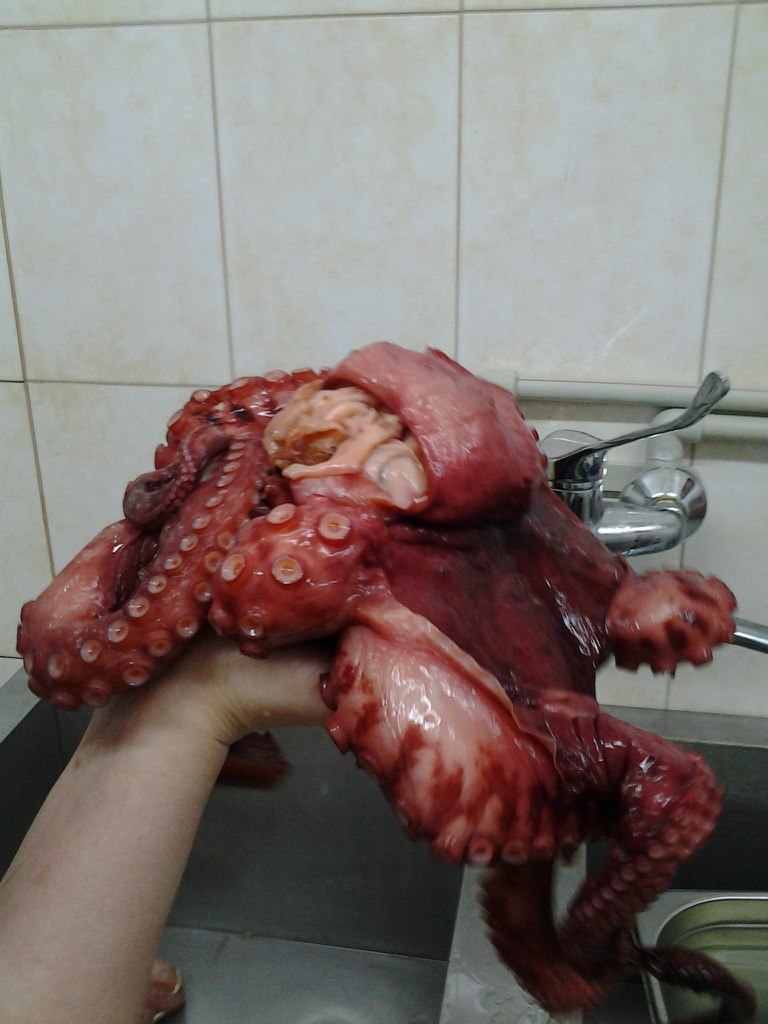 Михаил Рябков | Вологда