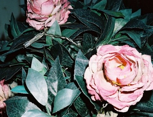 №1, Ольга Кумихина, 39 лет, Москва №1, Ольга Кумихина, 39 лет, Москва