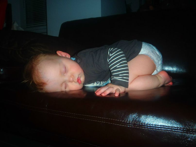 Елена Зобнина | Тула