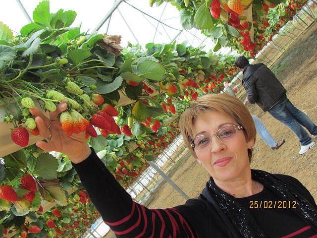 Ирина Зарицкая | Миргород