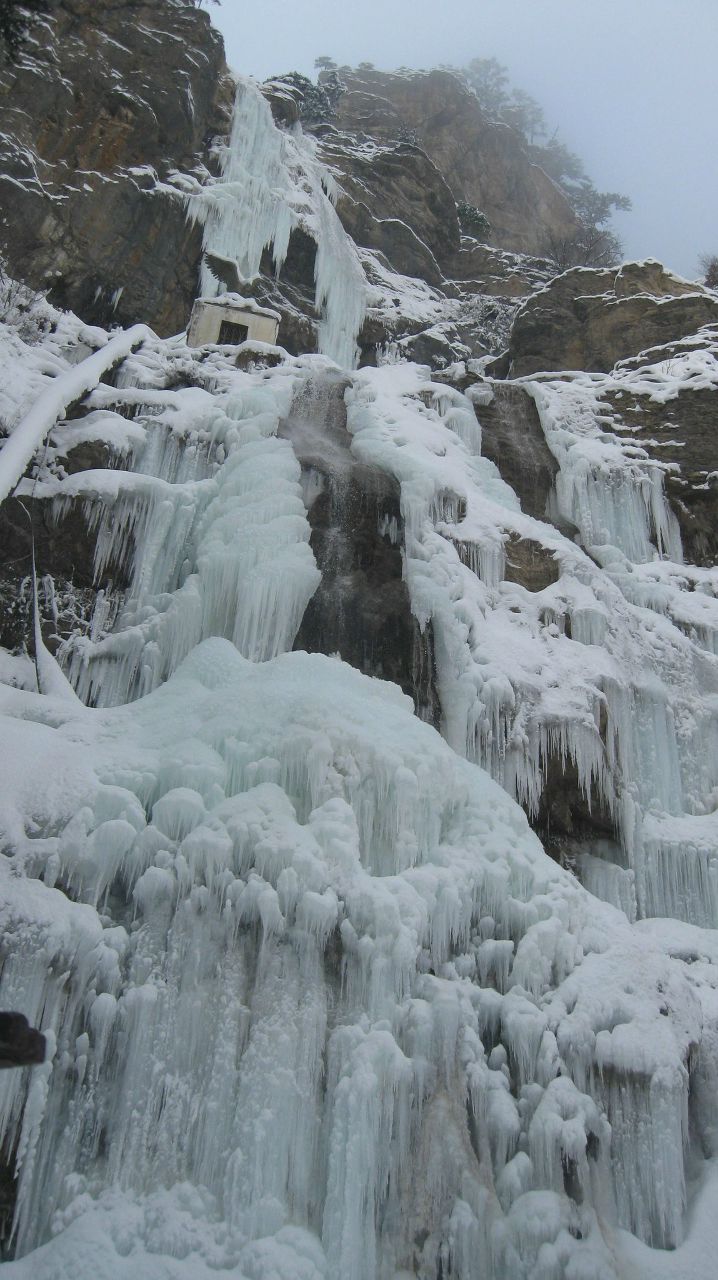 Елизавета Пичугина | Одесса
