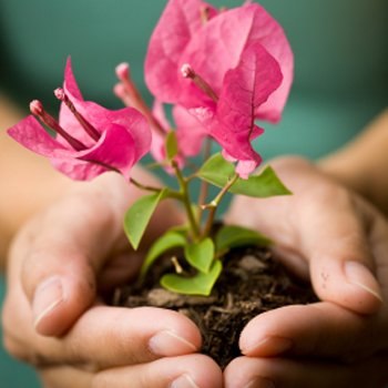 Сергей Богданович | Красноярск