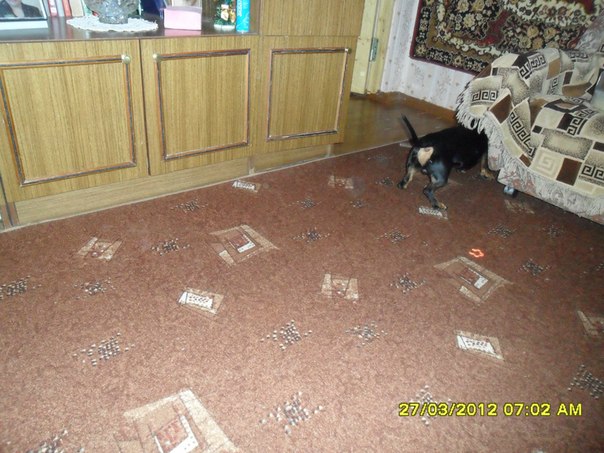 №150, Олеся Семакова, Северодвинск №150, Олеся Семакова, Северодвинск