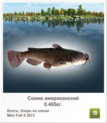 Владимир Софронов | Саранск