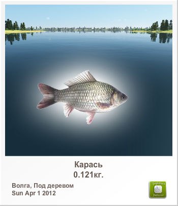 Николай Семенов | Санкт-Петербург