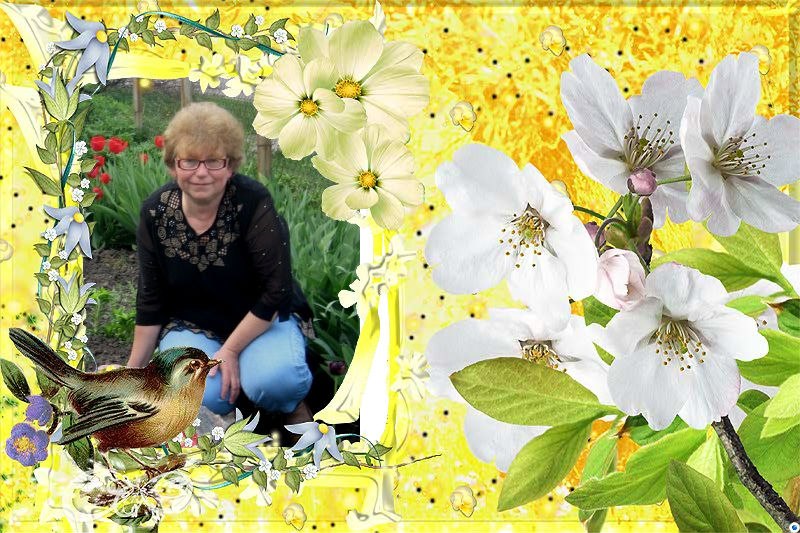 Ира Гулак | Машевка