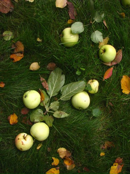 №72, Игорь Шипилин, Севастополь №72, Игорь Шипилин, Севастополь