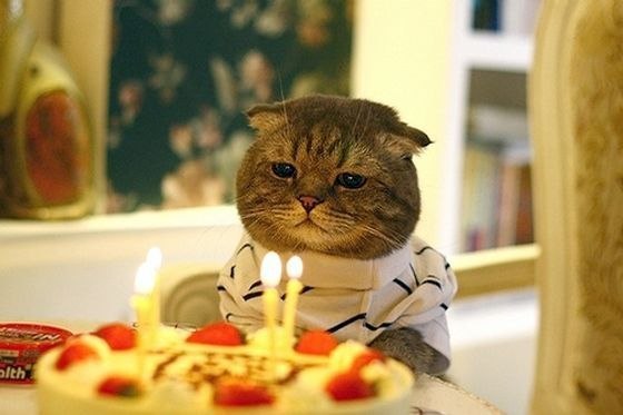 Massimo Massimo | Москва