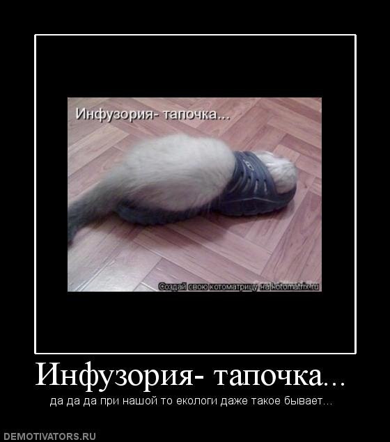 Николай Калмыков | Санкт-Петербург